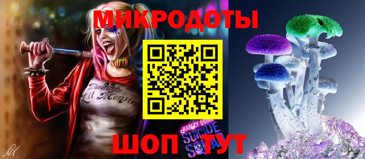 Псилоцибиновые грибы Psilocybe  Вход с VPN  Учалы 